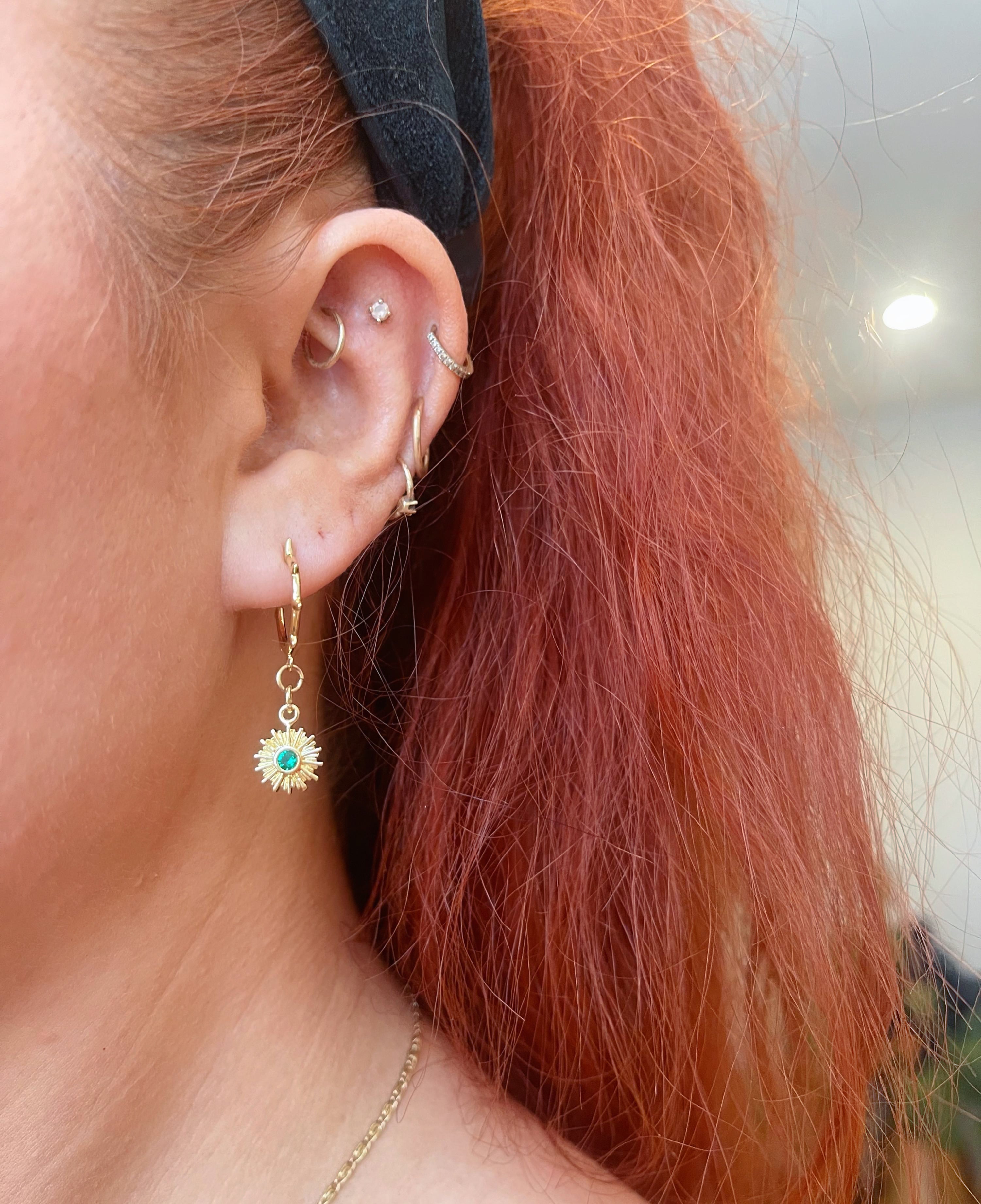 DO NOT FEED THE WILDLIFE HOOPS