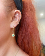 Load image into Gallery viewer, DO NOT FEED THE WILDLIFE HOOPS
