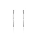 Load image into Gallery viewer, ERIN HOOPS
